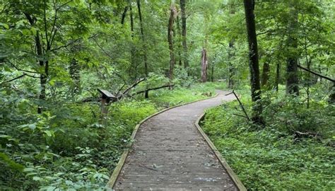 Take A Boardwalk Trail At Mingo National Wildlife Refuge In Missouri