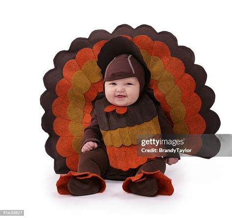 Cute Baby Turkey