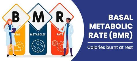 BMR Calculator (Basal Metabolic Rate) | Calculate BMR- Online Free