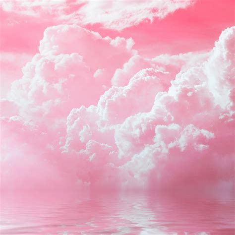 8tracks radio | Pink Cloud (5 songs) | free and music playlist