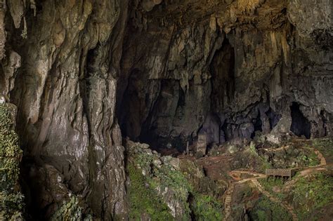 The Fairy Cave Malaysia Huge Cavern With Green Plant Life By Kai