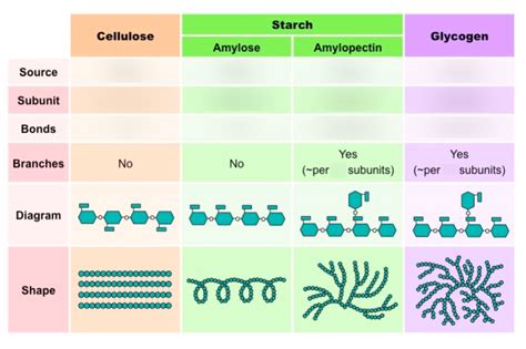 Biochemistry Sugars Diagram Quizlet