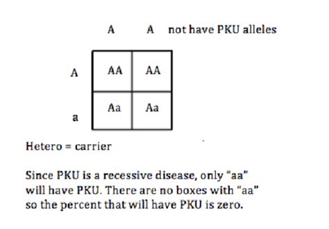 Genetic Disease Punnett Square Flashcards Quizlet