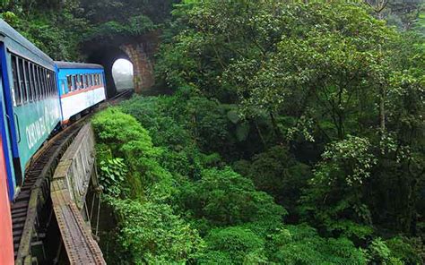 Conhe A O Passeio De Trem Na Serra Do Mar Curitiba X Morretes