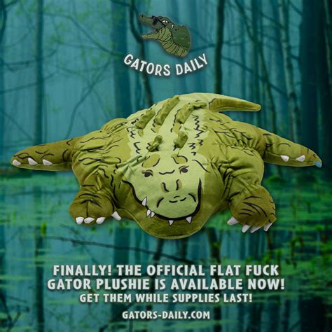 Kaji On Twitter Rt Gatorsdaily Flat Fuck Plushies Get Them While