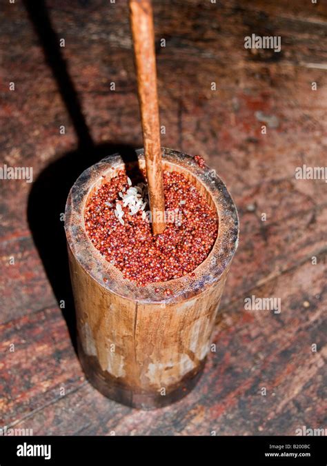 Tongba The Fermented Millet Drink Popular In Sikkim Bhutan And Nepal In