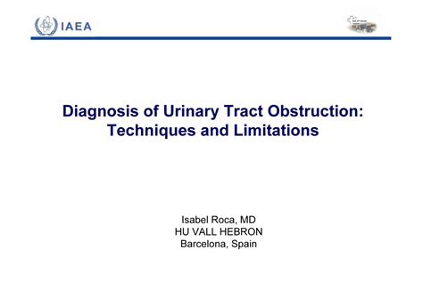 (PDF) Diagnosis of Urinary Tract Obstruction: Techniques …nucleus.iaea ...