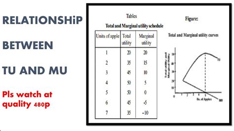 RELATIONSHIP BETWEEN TU AND MU LDMU WITH SCHEDULE AND DIAGRAM - YouTube