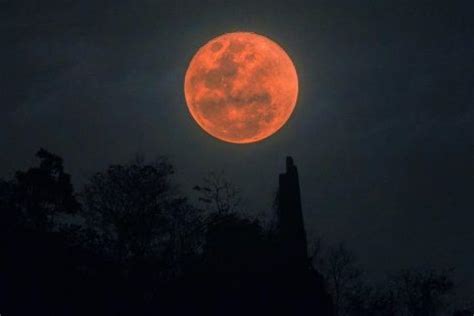 La Luna Se Convertir En Sangre Interpretando El Apocalipsis Dios