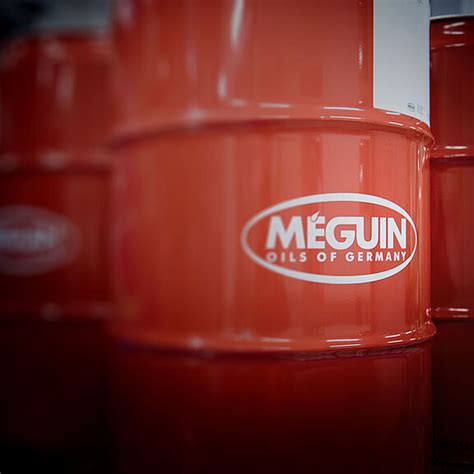 Meguin | Meguin