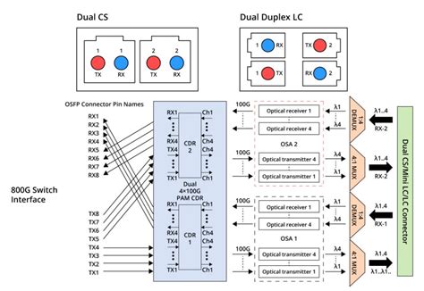 Why Are 800g Optical Modules Important For Ai