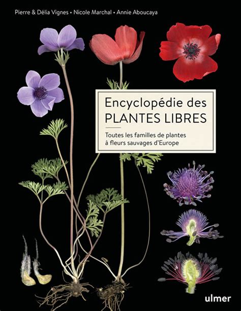 Encyclopédie des plantes libres Editions Ulmer