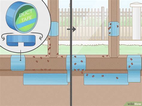 how to get rid of ladybugs outside