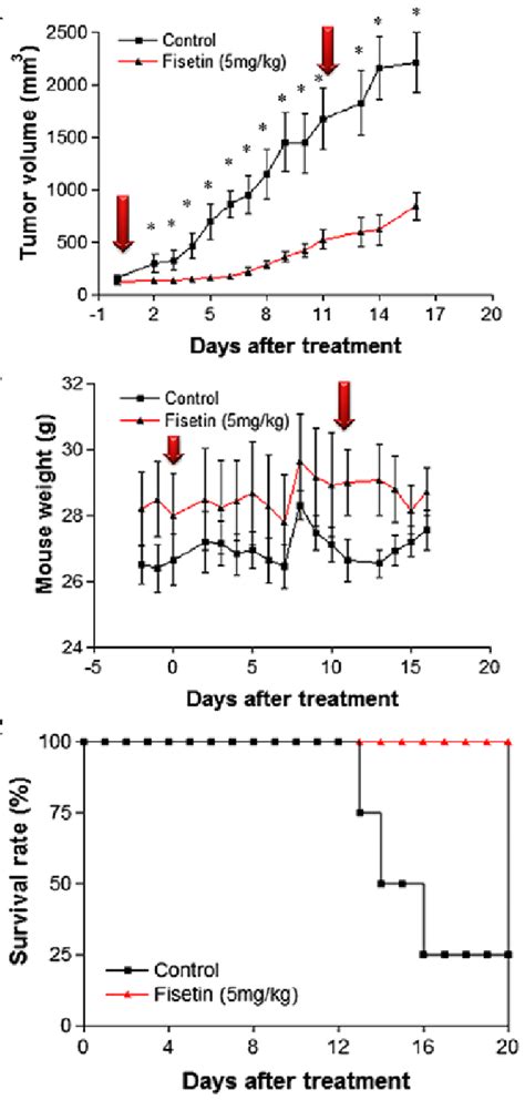 Effect Of Fisetin On Ct Colorectal Tumors In Vivo A Tumor Growth