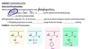 Covalent modification of an enzyme usually involves phosphorylati... | Channels for Pearson+