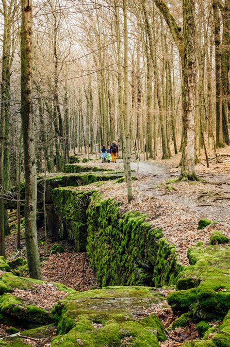 Hiking the Niagara Escarpment: Top 10 Hikes - The Driftwoods Family