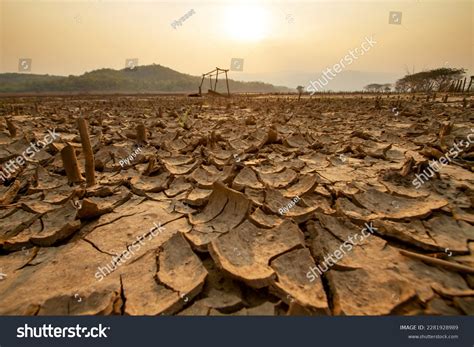 Soil Degradation Royalty-Free Images, Stock Photos & Pictures ...