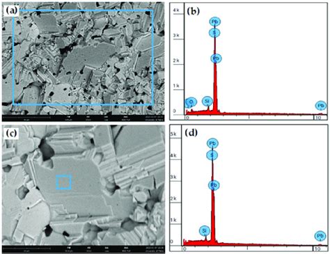 Sem Micrographs Bsi With Their Eds Spectrums Of Sintered Galena