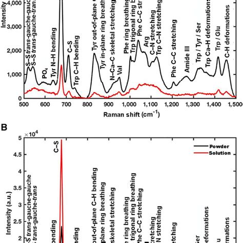 Baseline Corrected Spontaneous Raman Spectra Of Tubulin And Download Scientific Diagram