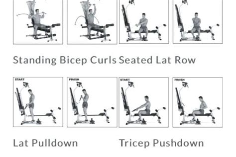 Bowflex Printable Workout Charts | EOUA Blog