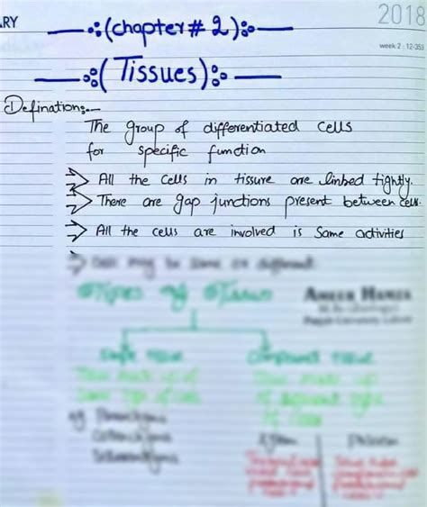 SOLUTION Biology Notes Tissues Handwritten Notes Studypool