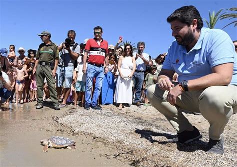 La Comunidad libera 30 tortugas bobas en Isla Plana y continúa su