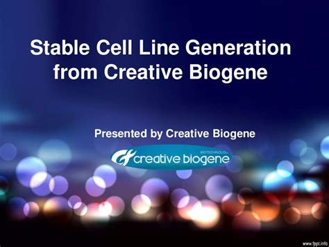 Stable Cell Line Generation from Creative Biogene