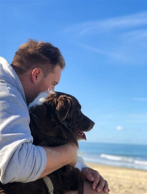 Urlaub Mit Hund Auf Amrum