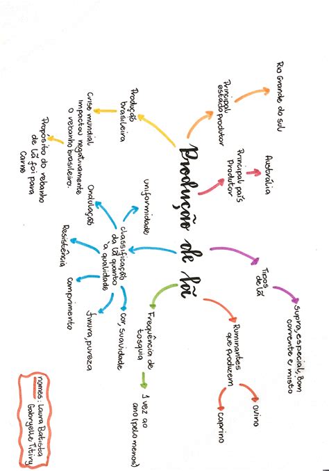 Mapa Mental Producao De La Nutri O De Ruminantes