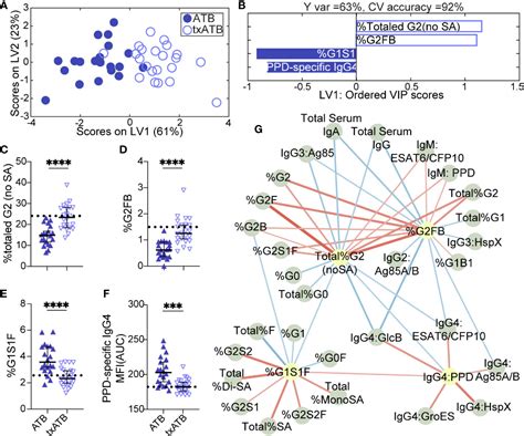 Frontiers Antibody Subclass And Glycosylation Shift Following Effective Tb Treatment