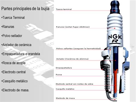 Las Partes De Una Buj A