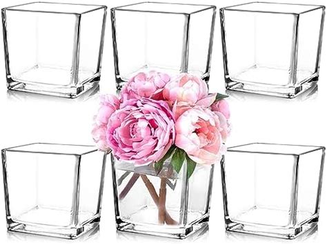 Amazon PINIWON 6 Pack Square Glass Vases 5 X 5 X 5 Inch Clear