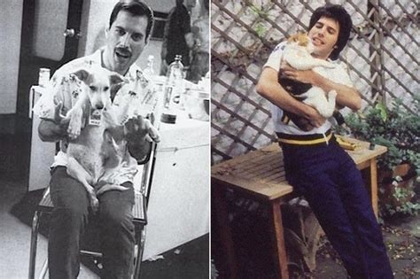 Freddie Mercury Loved Cats More Than Anything, Now His Hidden Photos ...