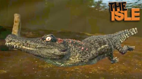 Filhote Deinosuchus Novos Mistérios Na Ilha Novidades Evrima The