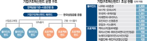 시그널 C쇼크에구조조정 펀드 1조 추가 조성 서울경제