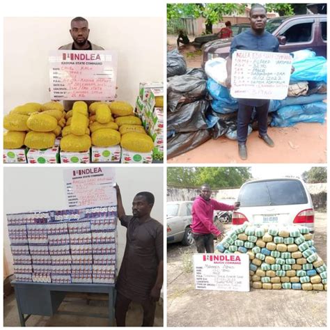 Nine Arrested As NDLEA Seizes Tonnes Of Narcotics In 5 States The Story