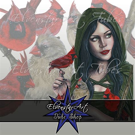 Cardinals Birds Fantasy Art Portrait PSP Tube ElvenstarArt