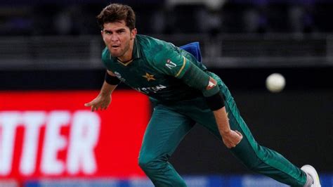 Shaheen Shah Afridi Leads Pakistans Domination Of Icc Awards News