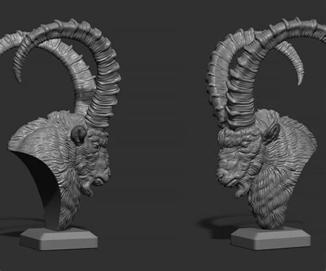 ArtStation - Nubian Ibex bust | Resources