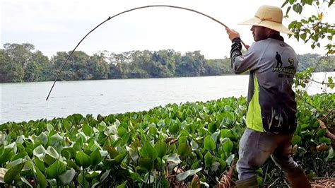 TEM QUE SER VARA DE BAMBU PRA AGUENTAR ESSES PEIXE PESCARIA DE