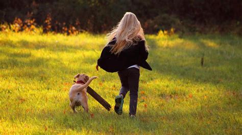 Esta Es La Mejor Hora Para Sacar A Pasear A Tu Perro