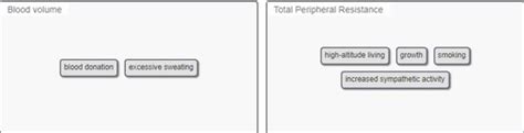 Vessels Lecture Flashcards Quizlet