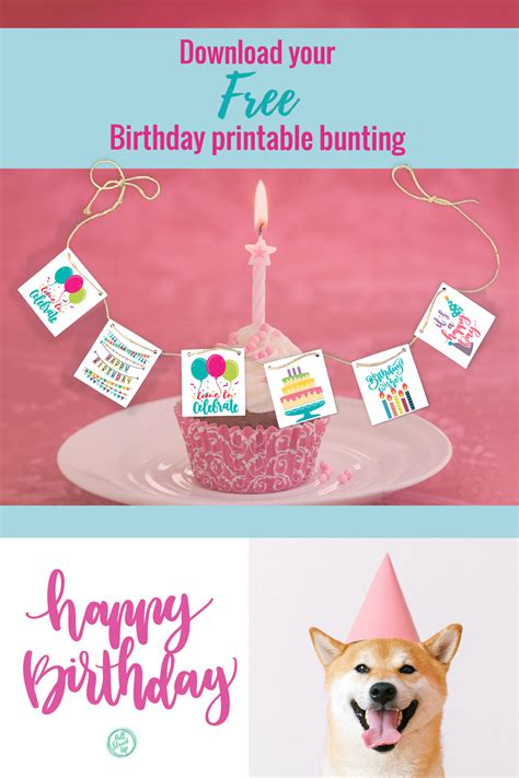 Download a free Birthday Celebration printable bunting - Hall Stirred Up