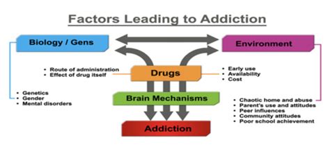 Substance Use Disorders Flashcards Quizlet