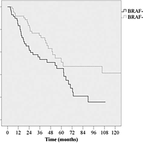 Overall Survival Curves For All Patients According To Braf V600e