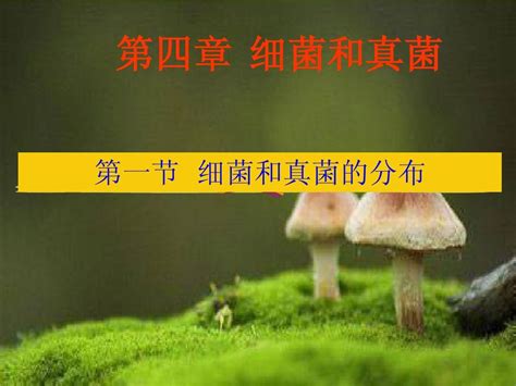 八年级生物第四章第一节细菌和真菌的分布课件人教版21word文档在线阅读与下载无忧文档