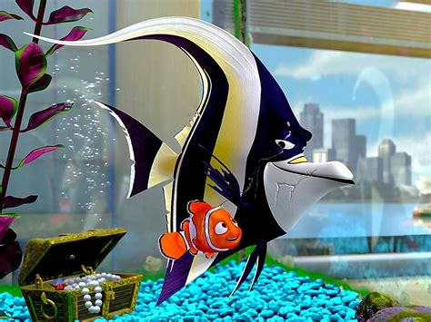 Finding Nemo wallpapers HD | Download Free backgrounds