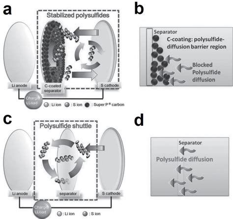 Schematic Cell Configuration Modification Of Lis Cells A Schematic