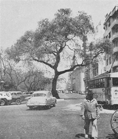 Fotos Antiguas De Buenos Aires