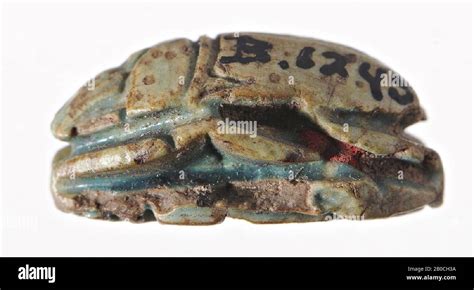 Scarab Mencheperre Amontrigram Seal Scarab Faience Cm New